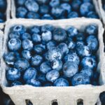 Arándanos: propiedades y beneficios que debes conocer