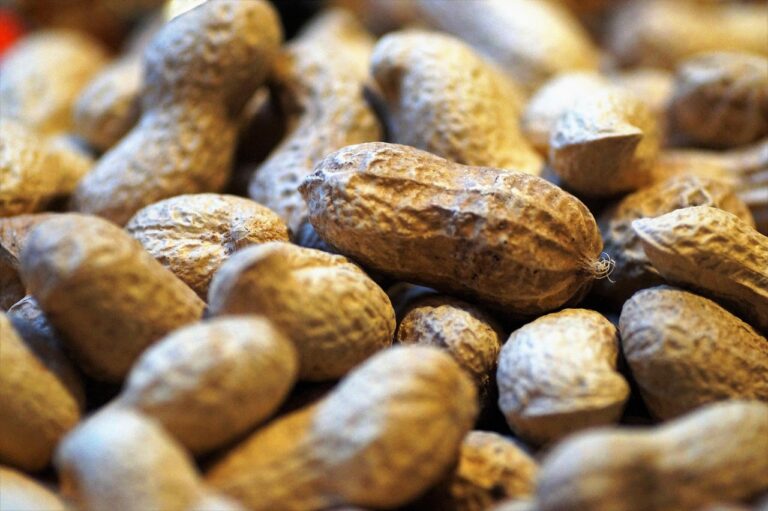Cacahuetes: propiedades y beneficios para la salud
