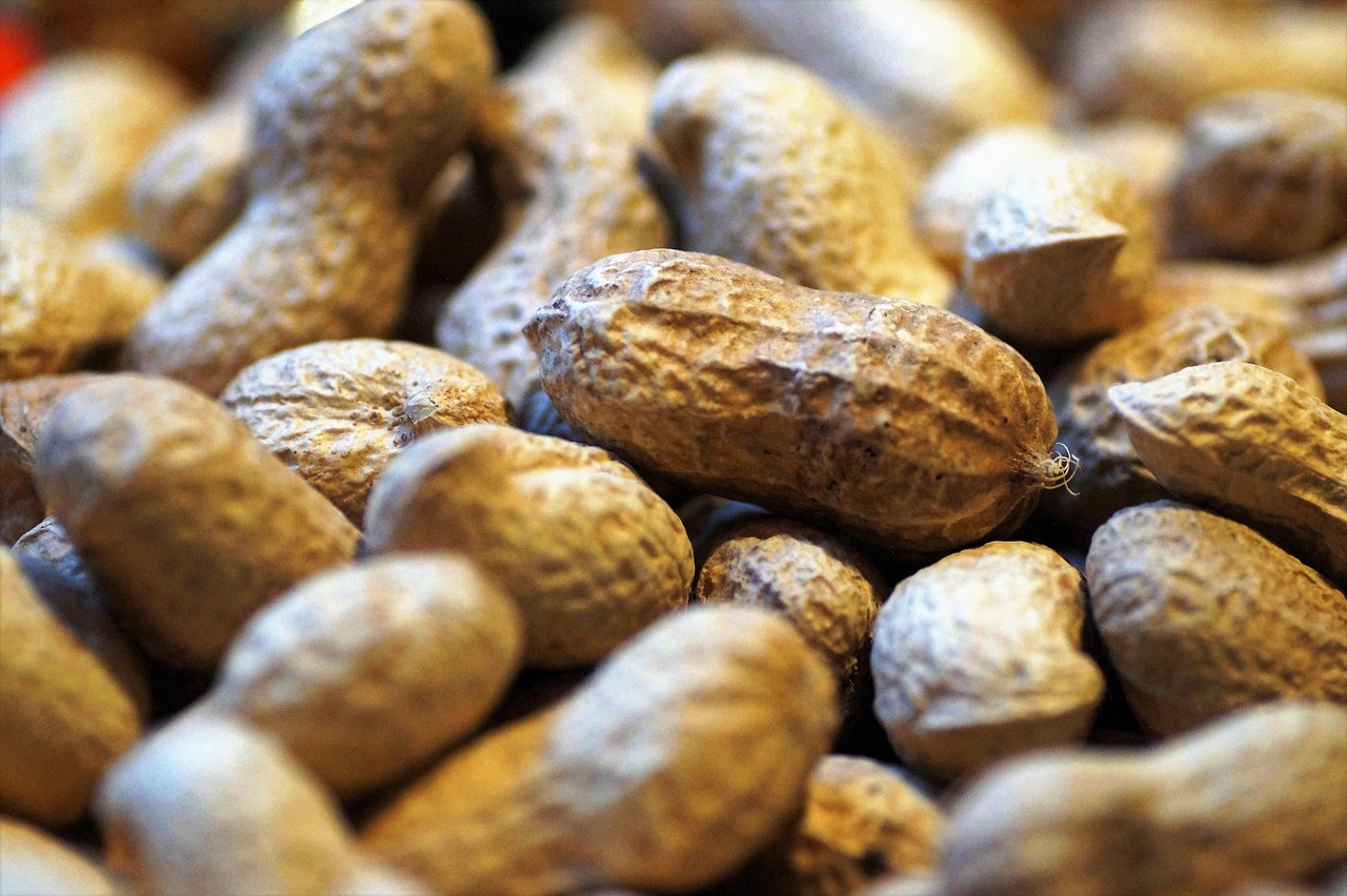 Cacahuetes: propiedades y beneficios para la salud